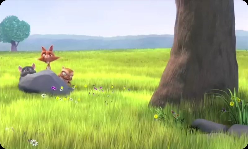 Film à l’arrêt
