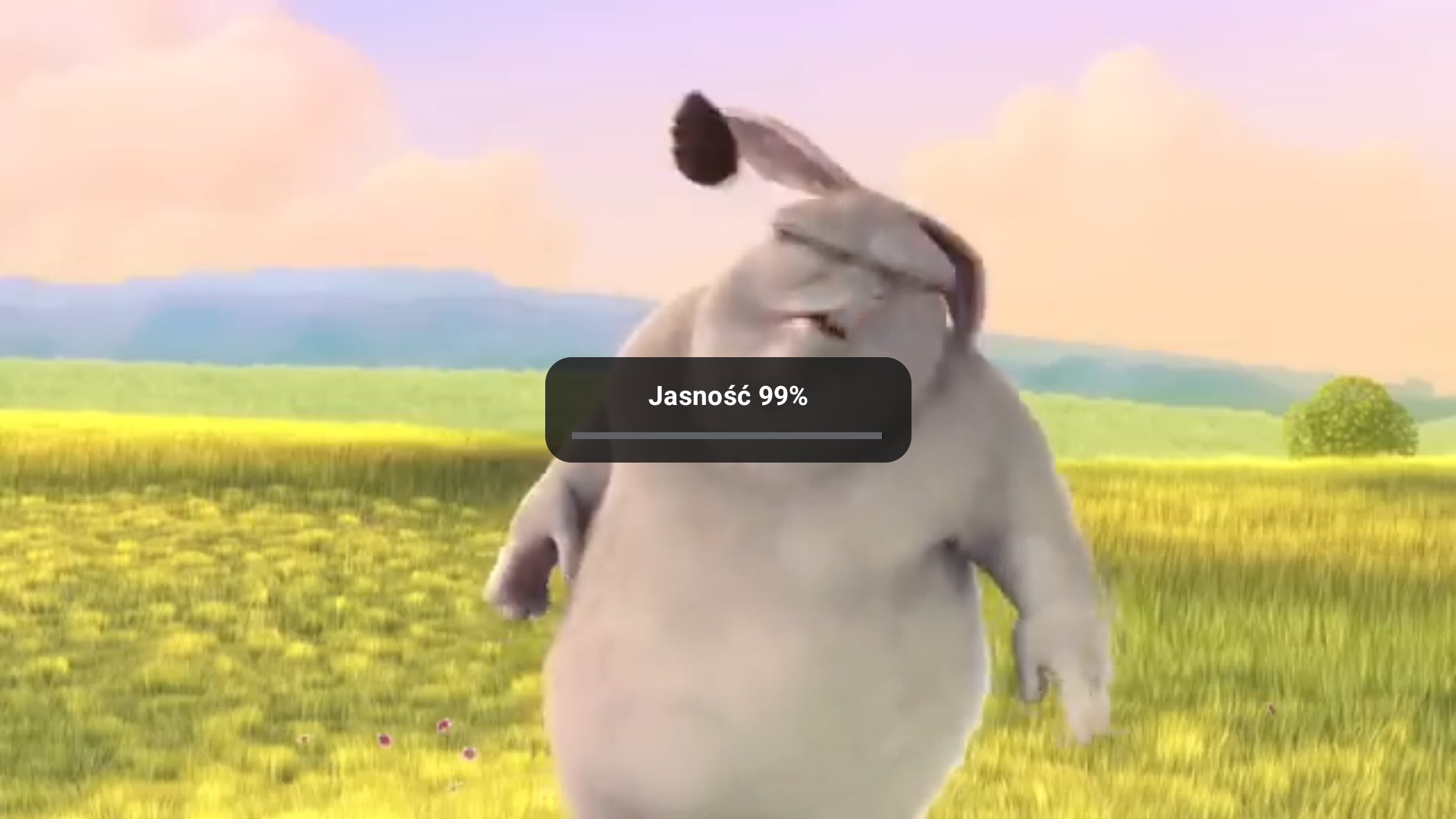 Luminosité